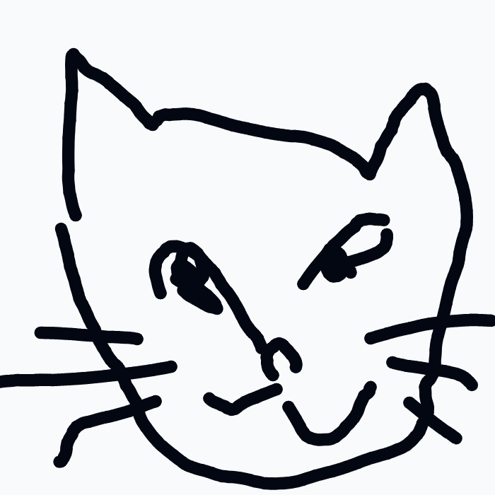A black cat with a white face and whiskers.